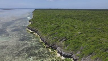 Bu stok videosu Tanzanya 'nın Zanzibar adasının 8K çözünürlüğündeki çalılıklarla kaplı hava görüntülerini gösteriyor.