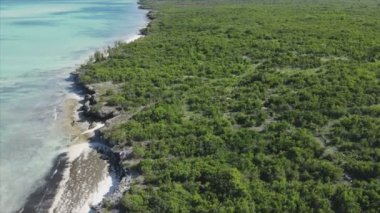 Bu stok videosu Tanzanya 'nın Zanzibar adasının 8K çözünürlüğündeki çalılıklarla kaplı hava görüntülerini gösteriyor.