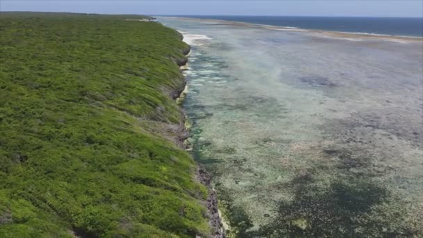 这段录像展示了坦桑尼亚桑给巴尔岛海岸的航拍照片 上面覆盖着茂密的灌木丛 慢动作分辨率为8K — 图库视频影像