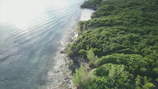 Nagranie Pokazuje Widok Lotu Ptaka Wybrzeże Wyspy Zanzibar Tanzanii Pokryte — Wideo stockowe