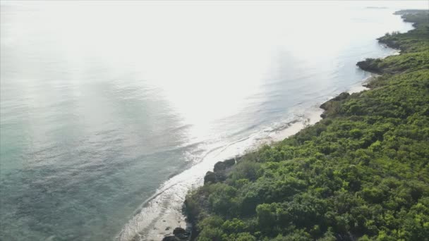 Відео Показує Повітряний Вид Узбережжя Острова Занзібар Танзанія Покритий Цитатами — стокове відео