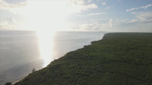 Nagranie Pokazuje Widok Lotu Ptaka Wybrzeże Wyspy Zanzibar Tanzanii Pokryte — Wideo stockowe