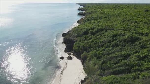Toto Video Ukazuje Letecký Pohled Pobřeží Ostrova Zanzibar Tanzanie Pokryté — Stock video