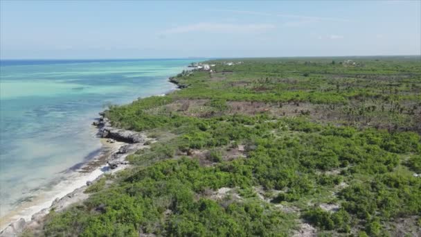 Este Vídeo Mostra Uma Vista Aérea Costa Ilha Zanzibar Tanzânia — Vídeo de Stock