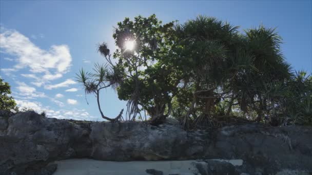 Cette Vidéo Stock Montre Une Vue Aérienne Côte Île Zanzibar — Video