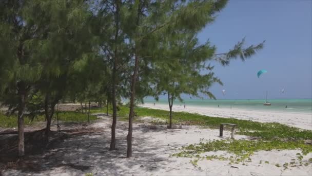 Stock Video Shows Kitesurf Coast Zanzibar Tanzania Slow Motion Resolution — Stock Video
