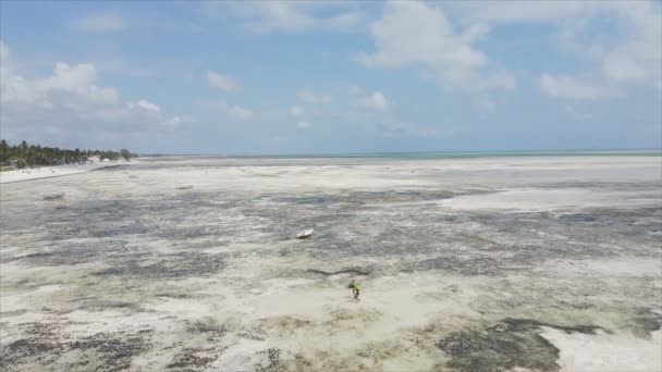 Este Vídeo Mostra Kitesurf Perto Costa Zanzibar Tanzânia Câmera Lenta — Vídeo de Stock