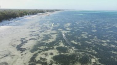 Bu video, Tanzanya 'nın Zanzibar kıyısında 8K çözünürlükte yavaş çekim uçurtmayı gösteriyor.