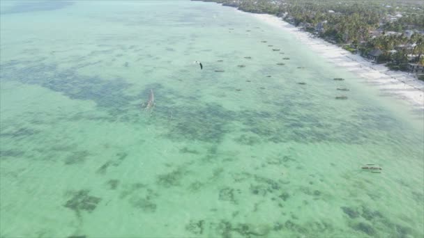 このストックビデオは タンザニアのザンジバルの海岸近くのカイトサーフィン 8K解像度でのスローモーションを示しています — ストック動画