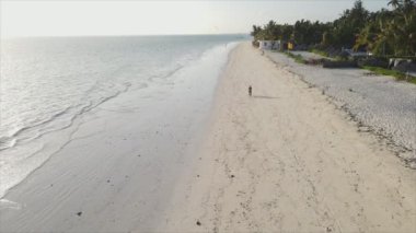 Bu stok videosu 8K çözünürlükte Tanzanya, Zanzibar açıklarındaki okyanusta alçak gelgitin havadan görüntüsünü gösteriyor.