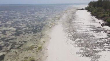 Bu stok videosu 8K çözünürlükte Tanzanya, Zanzibar açıklarındaki okyanusta alçak gelgitin havadan görüntüsünü gösteriyor.