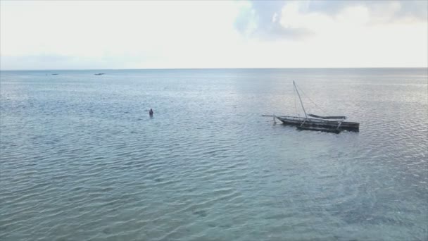 Cette vidéo montre la vue aérienne de la marée basse dans l'océan au large de Zanzibar, Tanzanie en résolution 8K