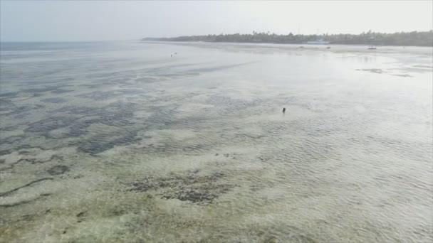 Questo Video Mostra Vista Aerea Della Bassa Marea Nell Oceano — Video Stock