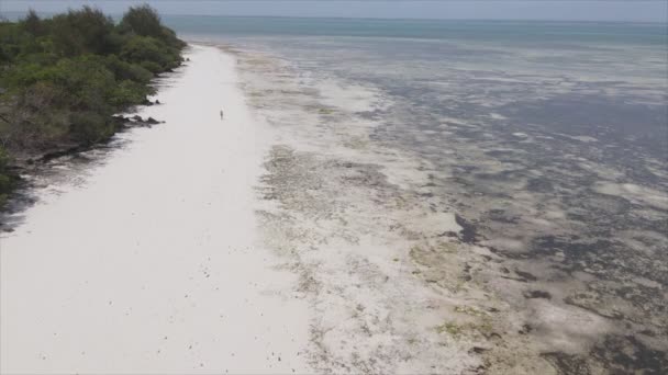 Dieses Archivvideo Zeigt Eine Luftaufnahme Von Ebbe Ozean Vor Der — Stockvideo