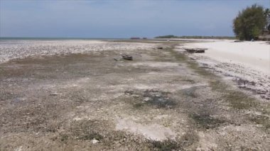 Bu video, Tanzanya, Zanzibar açıklarındaki okyanustaki alçak gelgitin 8K çözünürlükte yavaş çekimini gösteriyor.