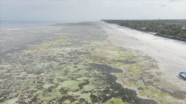 Bu video, Tanzanya, Zanzibar açıklarındaki okyanustaki alçak gelgitin 8K çözünürlükte yavaş çekimini gösteriyor.