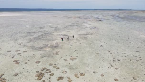 Questo Video Mostra Vista Aerea Della Bassa Marea Nell Oceano — Video Stock