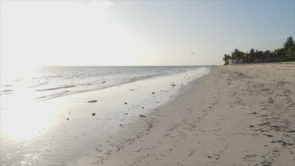 Stock Video Shows Aerial View Low Tide Ocean Coast Zanzibar — ストック動画