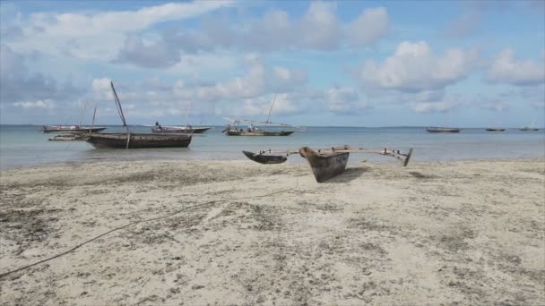 Stock Video Shows Aerial View Low Tide Ocean Coast Zanzibar — Vídeos de Stock