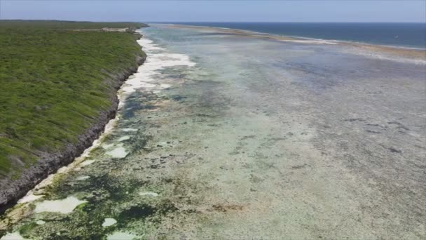 Stock Video Shows Aerial View Low Tide Ocean Coast Zanzibar — Stock Video