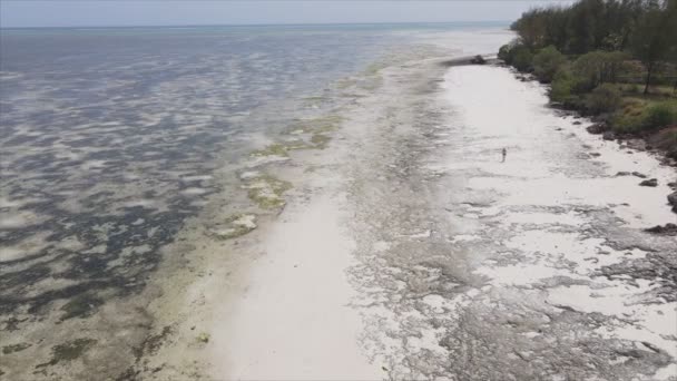 这个鱼群视频显示了坦桑尼亚桑给巴尔海岸外海面的低潮的航拍图像 它的分辨率为8K — 图库视频影像
