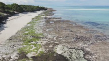 Bu video, Tanzanya, Zanzibar açıklarındaki okyanustaki alçak gelgitin 8K çözünürlükte yavaş çekimini gösteriyor.