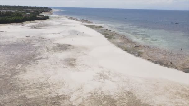 このストックビデオは ザンジバル タンザニア 8K解像度のスローモーションの海岸沖の低潮位の空中ビューを示しています — ストック動画