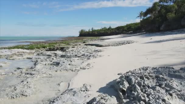 Állomány Videó Mutatja Légi Kilátás Apály Óceán Partjainál Zanzibar Tanzánia — Stock videók