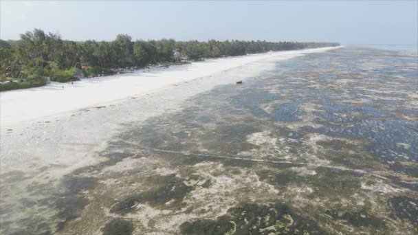 Denna Video Visar Flygbilder Lågvatten Havet Utanför Zanzibars Kust Tanzania — Stockvideo