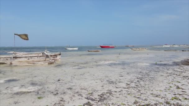 Stock Video Shows Aerial View Low Tide Ocean Coast Zanzibar — Video
