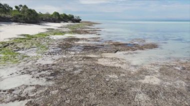 Bu video, Tanzanya, Zanzibar açıklarındaki okyanustaki alçak gelgitin 8K çözünürlükte yavaş çekimini gösteriyor.