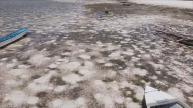 Bu video, Tanzanya, Zanzibar açıklarındaki okyanustaki alçak gelgitin 8K çözünürlükte yavaş çekimini gösteriyor.