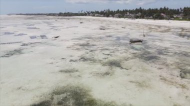 Bu video, Tanzanya, Zanzibar açıklarındaki okyanustaki alçak gelgitin 8K çözünürlükte yavaş çekimini gösteriyor.
