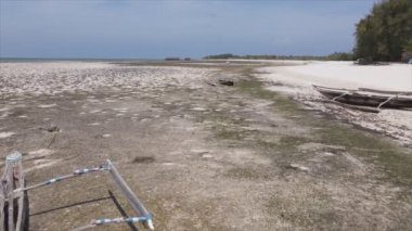 Bu video, Tanzanya, Zanzibar açıklarındaki okyanustaki alçak gelgitin 8K çözünürlükte yavaş çekimini gösteriyor.