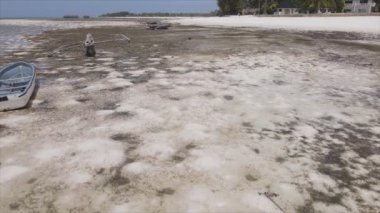 Bu video, Tanzanya, Zanzibar açıklarındaki okyanustaki alçak gelgitin 8K çözünürlükte yavaş çekimini gösteriyor.