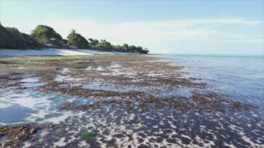 Bu video, Tanzanya, Zanzibar açıklarındaki okyanustaki alçak gelgitin 8K çözünürlükte yavaş çekimini gösteriyor.
