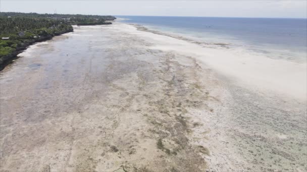 Ten Film Pokazuje Widok Lotu Ptaka Oceanie Wybrzeży Zanzibaru Tanzanii — Wideo stockowe