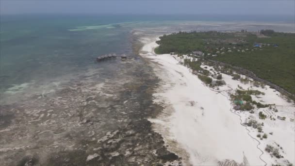 Cette Vidéo Montre Vue Aérienne Marée Basse Dans Océan Large — Video
