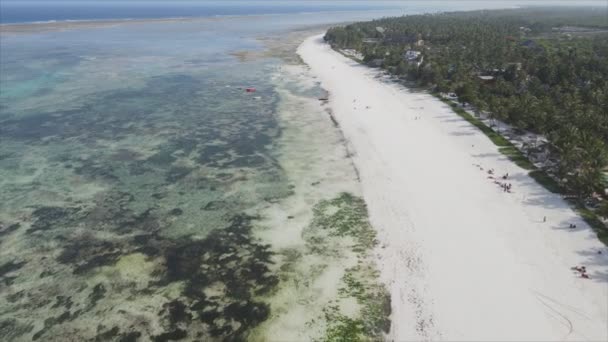 Este Vídeo Mostra Visão Aérea Maré Baixa Oceano Largo Costa — Vídeo de Stock