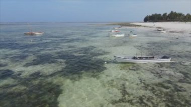 Bu video, Tanzanya, Zanzibar açıklarındaki okyanustaki alçak gelgitin 8K çözünürlükte yavaş çekimini gösteriyor.