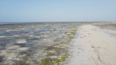 Bu video, Tanzanya, Zanzibar açıklarındaki okyanustaki alçak gelgitin 8K çözünürlükte yavaş çekimini gösteriyor.