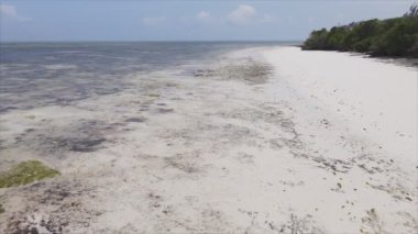 Bu video, Tanzanya, Zanzibar açıklarındaki okyanustaki alçak gelgitin 8K çözünürlükte yavaş çekimini gösteriyor.