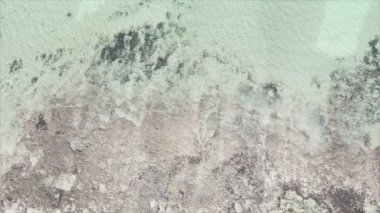 Bu video, Tanzanya, Zanzibar açıklarındaki okyanustaki alçak gelgitin 8K çözünürlükte yavaş çekimini gösteriyor.