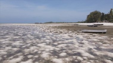 Bu video, Tanzanya, Zanzibar açıklarındaki okyanustaki alçak gelgitin 8K çözünürlükte yavaş çekimini gösteriyor.