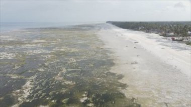 Bu video, Tanzanya, Zanzibar açıklarındaki okyanustaki alçak gelgitin 8K çözünürlükte yavaş çekimini gösteriyor.