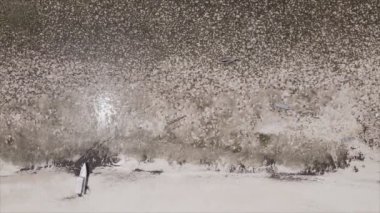 Bu video, Tanzanya, Zanzibar açıklarındaki okyanustaki alçak gelgitin 8K çözünürlükte yavaş çekimini gösteriyor.