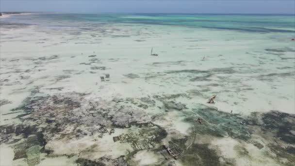 Este Vídeo Mostra Visão Aérea Maré Baixa Oceano Largo Costa — Vídeo de Stock