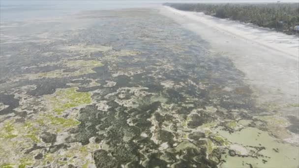 Deze Stockvideo Toont Vanuit Lucht Zicht Laagwater Oceaan Voor Kust — Stockvideo