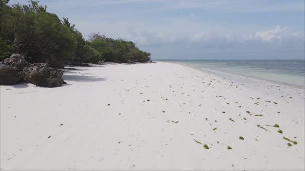 Видео Показывает Воздушный Вид Отлива Океане Побережья Занзибара Танзания Замедленное — стоковое видео