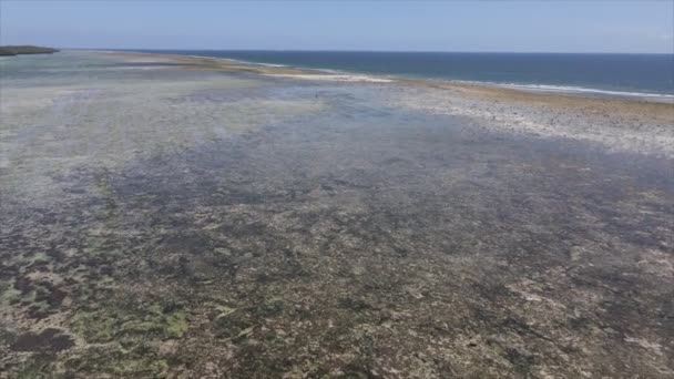 Este Vídeo Mostra Visão Aérea Maré Baixa Oceano Largo Costa — Vídeo de Stock